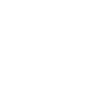 Bubble App Development