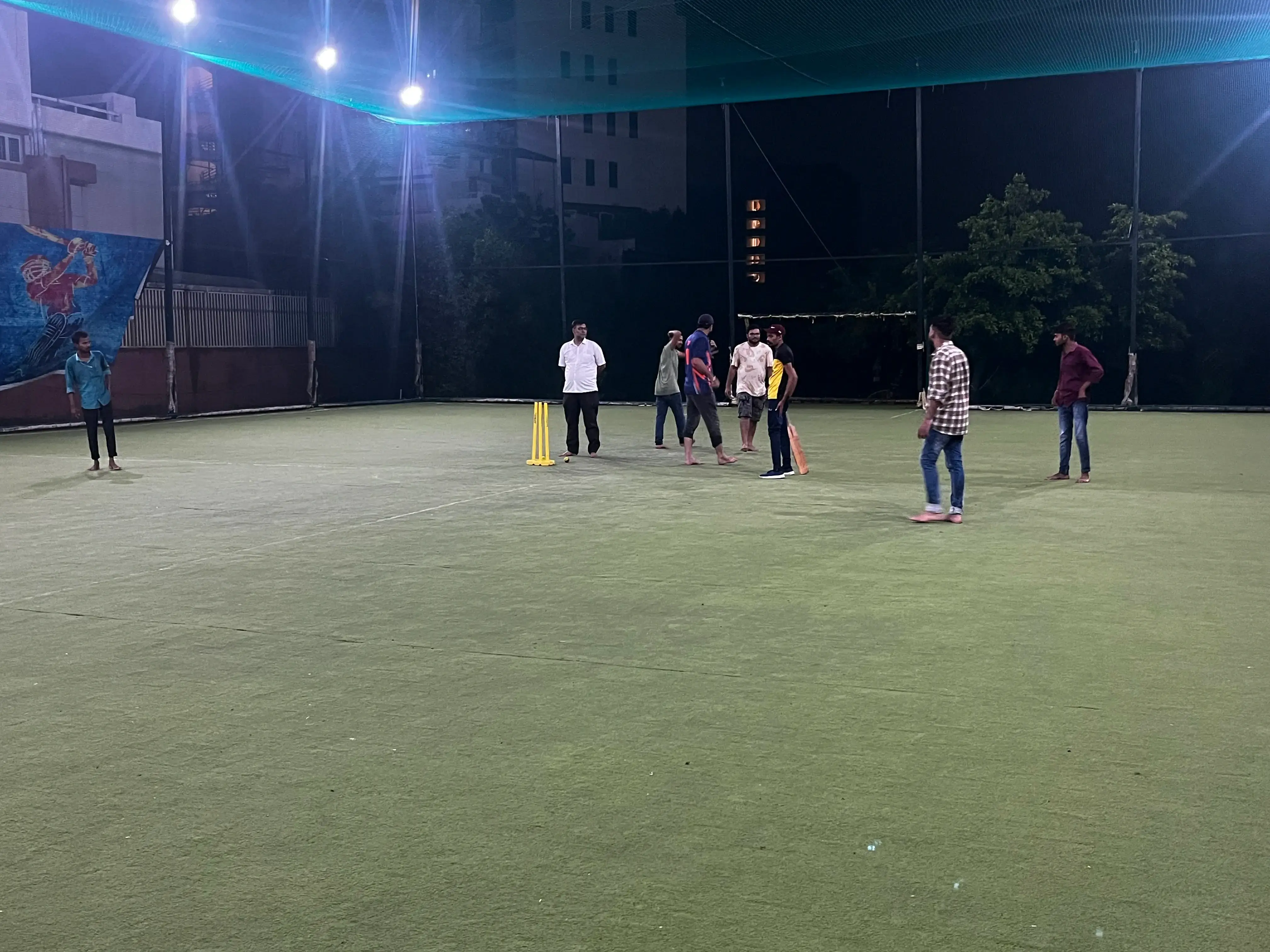 Cricket Matches