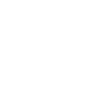 Web Design & Development